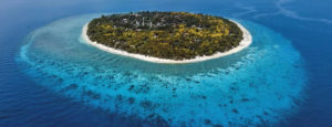 Balicasag Island Marine Sanctuary